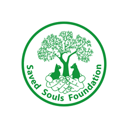 Saved Souls Foundation