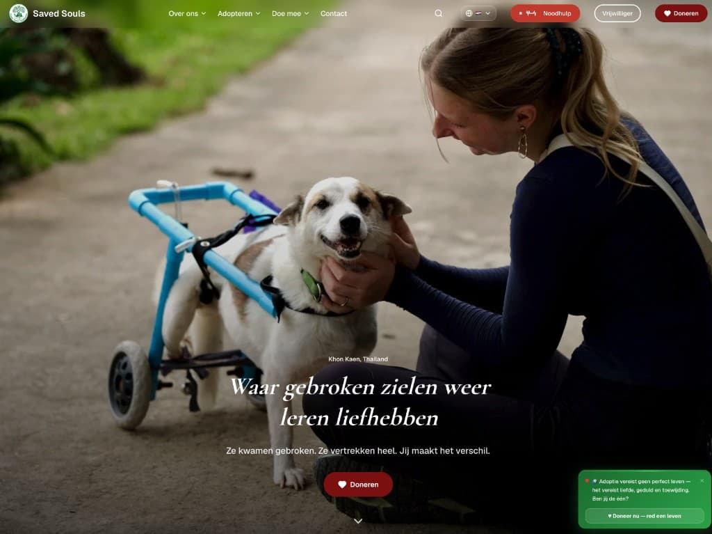 Website van Saved Souls Foundation